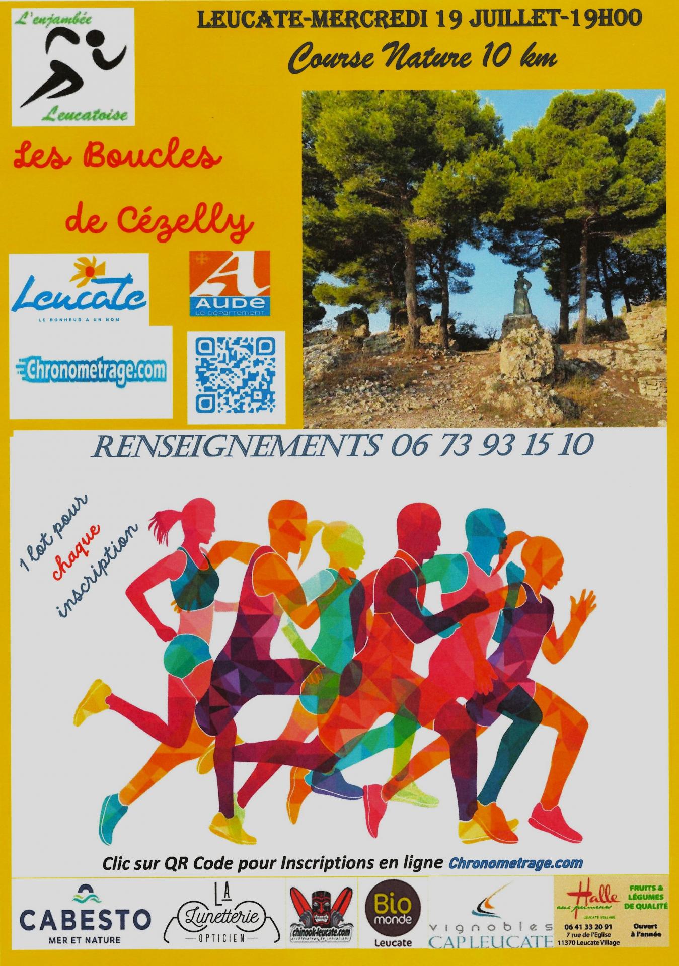 Affiche a3 site